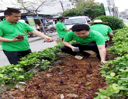 1482906167874222.jpg 24a.jpg