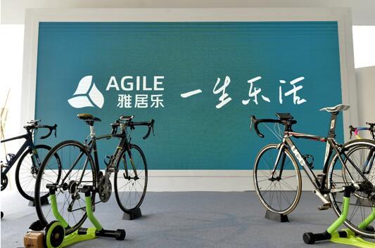 雅居樂(lè) 雅居樂(lè)