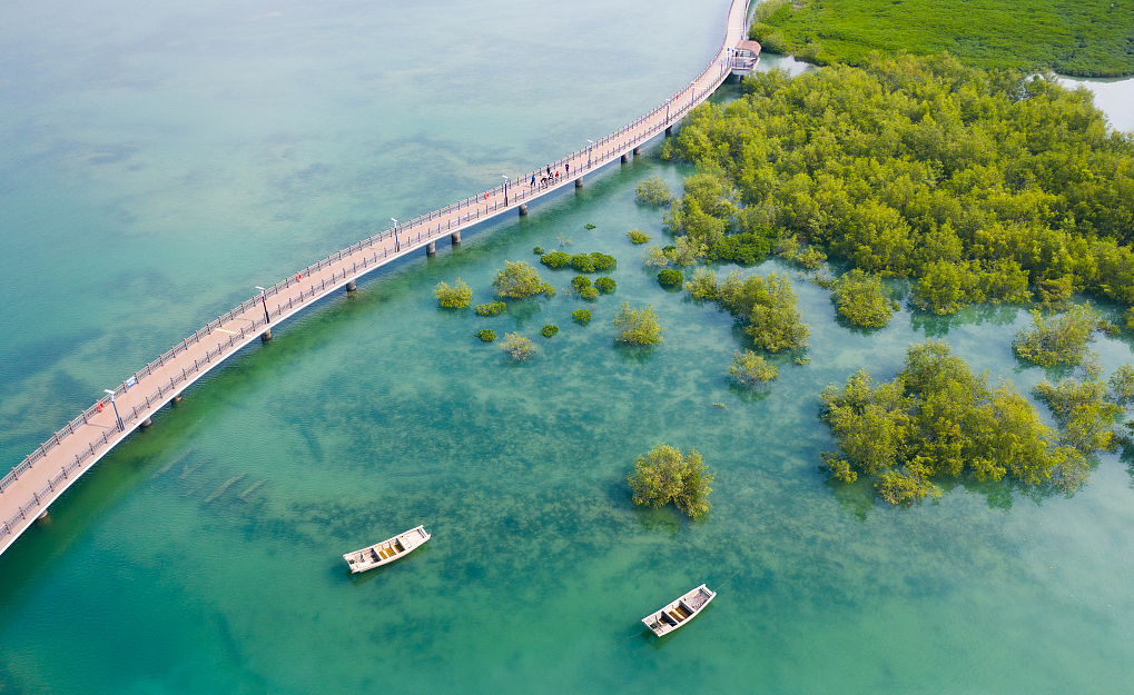 1701315889221602.png 640.png